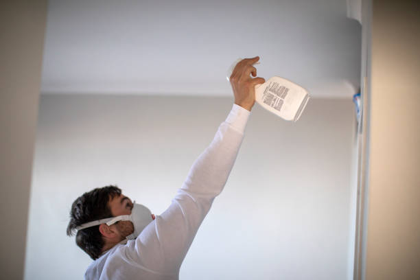 Trusted Mount Carroll, IL Mold Removal Experts