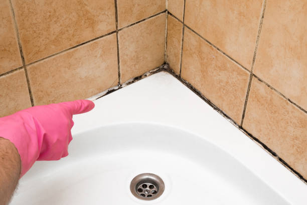 Water Damage Restoration in Mount Carroll, IL